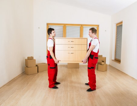 Professional movers handling furniture and boxes in Docklands